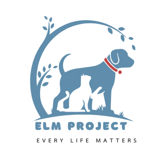 logotype