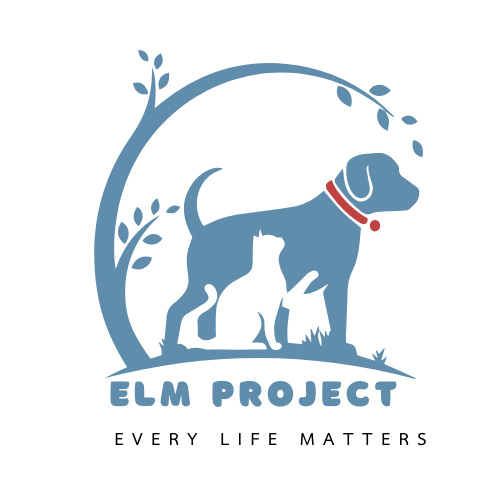 logotype
