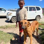 Donate Supplies: Make a Difference for Animals in Need