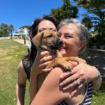 Support the ELM Project in Tsitsikamma: Volunteer Your Time for Animal Welfare